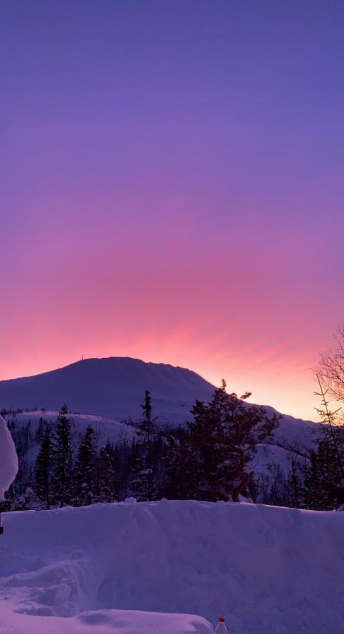 Gaustablikk Sportshytte Midt I Naturen Rjukan Kültér fotó